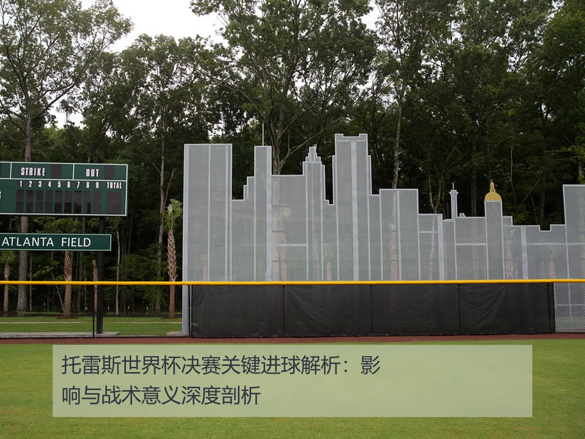 托雷斯世界杯决赛关键进球解析:影响与战术意义深度剖析