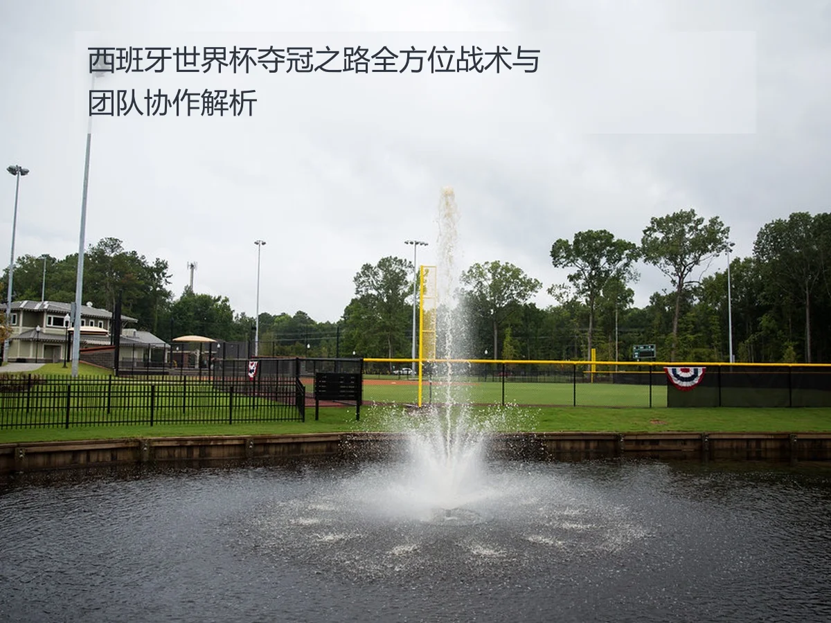 西班牙世界杯夺冠之路全方位战术与团队协作解析